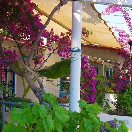 Poyraz 酒店 比特兹